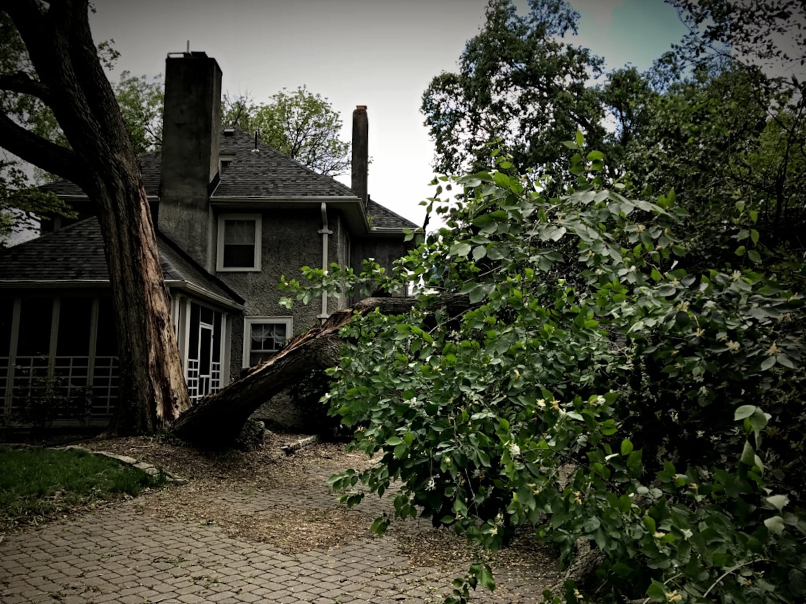 High winds Tuesday, May 2, 2017, brought down this tree on Plumwood Road in Oakwood. (Jim Noelker/Staff)