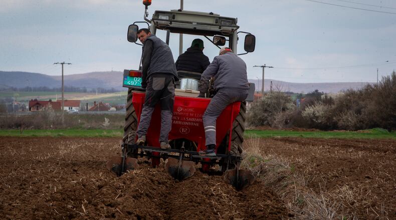 Farmers of Pestova firm on the back of a tractor plant potatoes in the village of Pestove, Kosovo on March 26, 2026. (AP Photo/Visar Kryeziu)