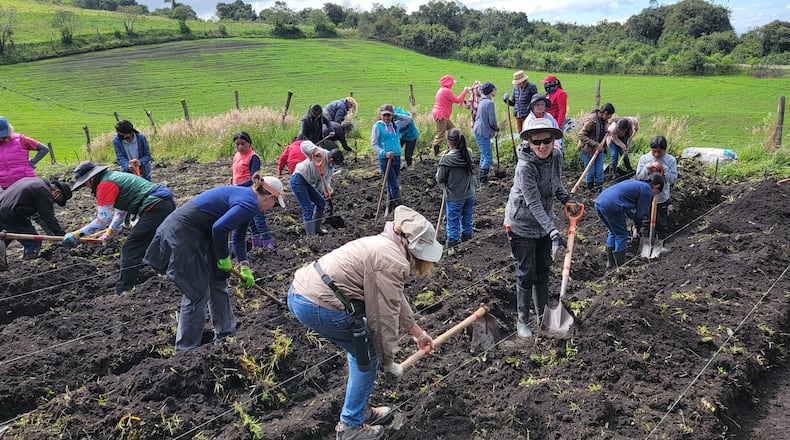 Master Gardener Volunteers building planting beds in Ecuador for an international service project. CONTRIBUTED