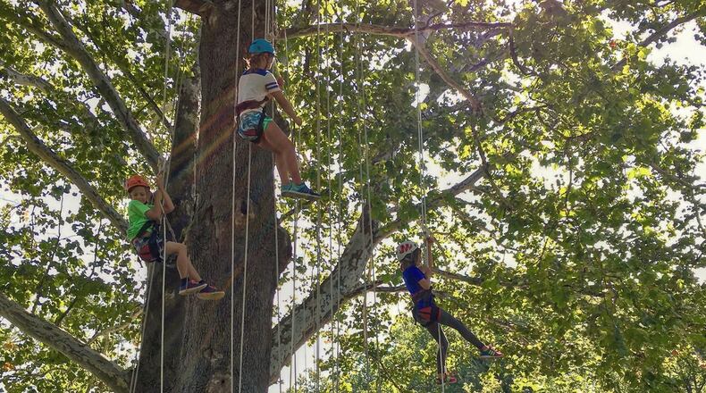 The popular tree climbing activity will be back for the Monarch Butterfly Fest on Saturday, Aug. 25. CONTRIBUTED