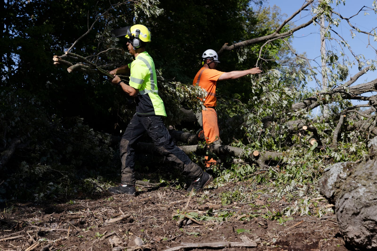 Cody Sparks, left, and Eric Combs with Lewis Tree Service work to clear a tree off of a power line near on 92nd Street near Caledonia, Mich. on Friday, May 16. 2025. (Neil Blake/The Grand Rapids Press via AP)