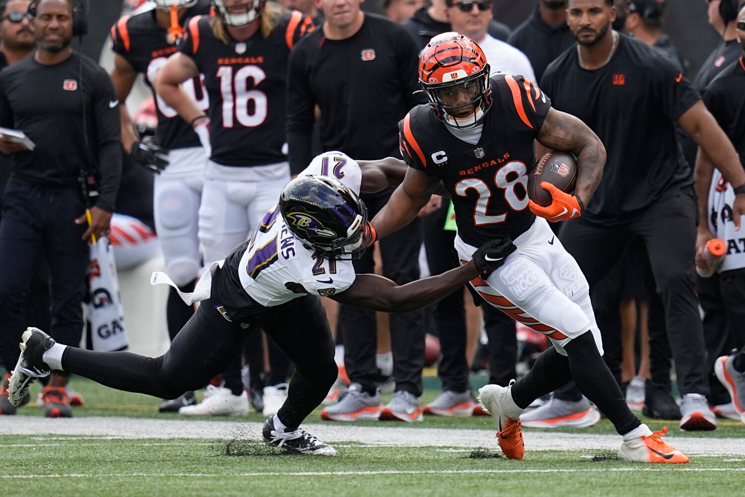 Ravens Bengals Football