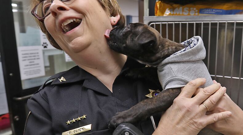 Clark County Dog Warden Sandi Click gets some love from the Clark County Dog Shelter's youngest guest Tuesday morning before they opened for National Adopt a Shelter Pet Day. BILL LACKEY/STAFF