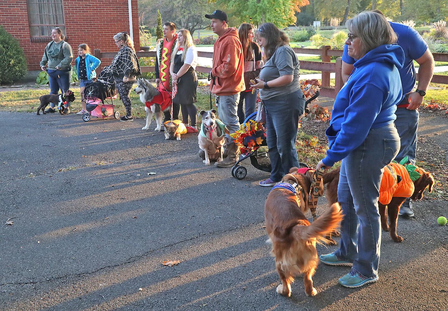 Yappy Howl-o-ween SNS