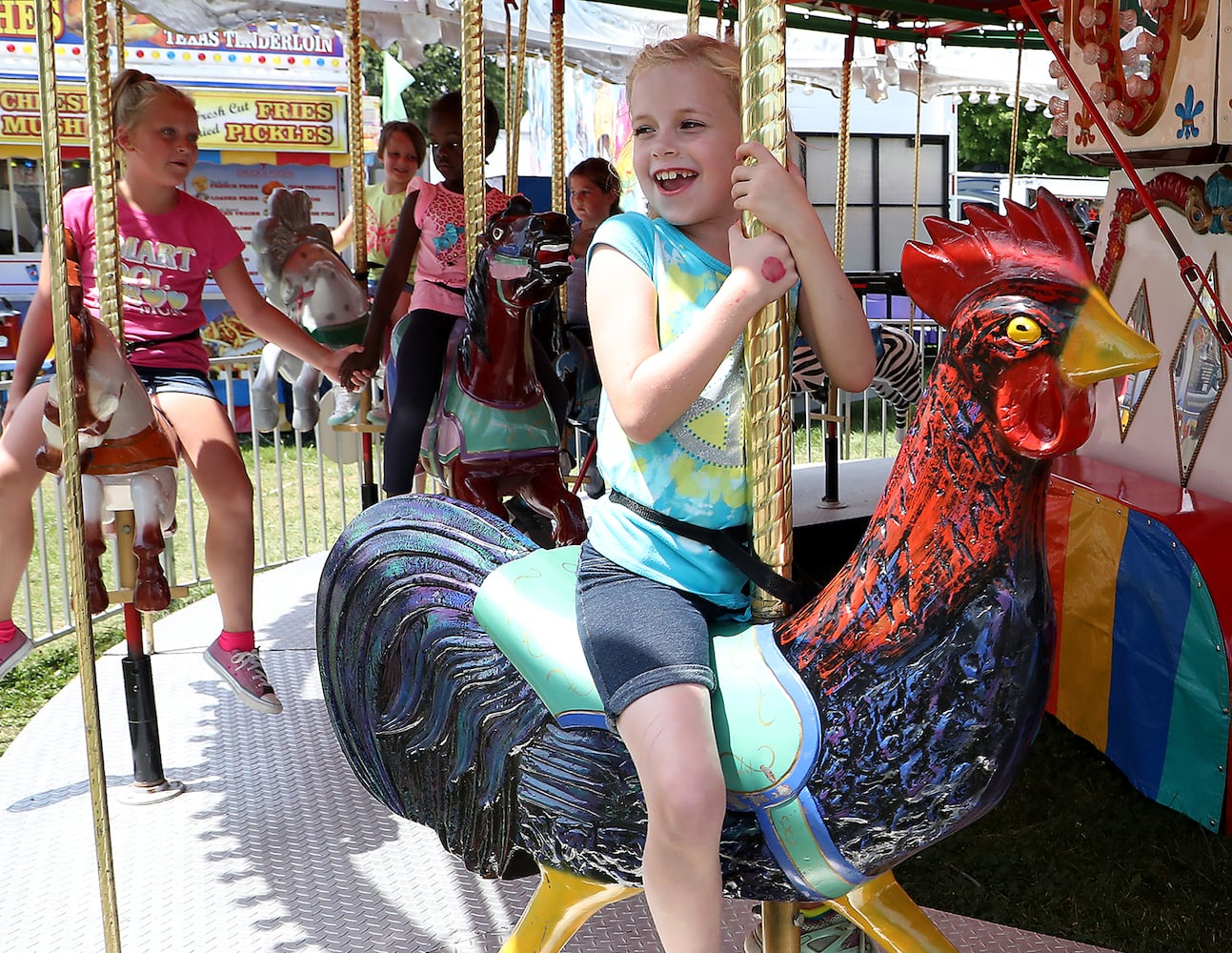 2018 Champaign County Fair - Monday