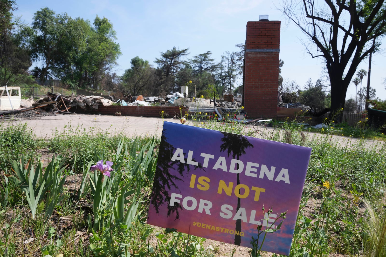 A sign reads "Altadena is not for sale" in front of a fire-damaged property in Altadena, Calif., Tuesday, April 22, 2025. (AP Photo/Damian Dovarganes)