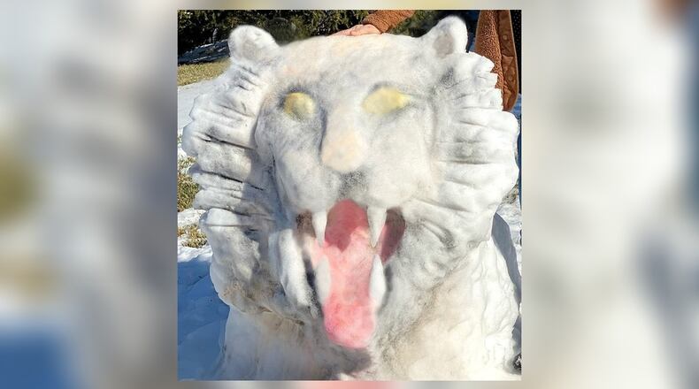 Browns fan Lee Quellhorst of Centerville jumped on the Cincinnati Bengals bandwagon and created a Bengal tiger snow sculpture in her front yard in honor of the Bengals' trip to the Super Bowl. CONTRIBUTED