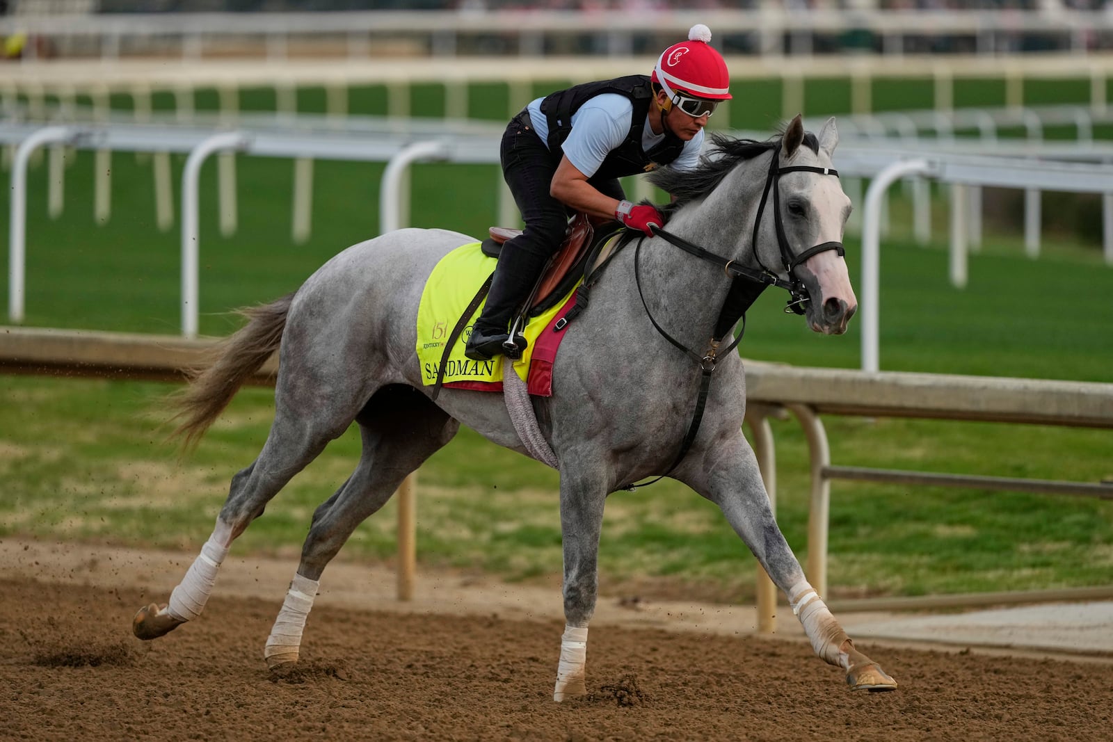 Kentucky Derby entrant Sandman works out at Churchill Downs Tuesday, April 29, 2025, in Louisville, Ky. (AP Photo/Charlie Riedel)