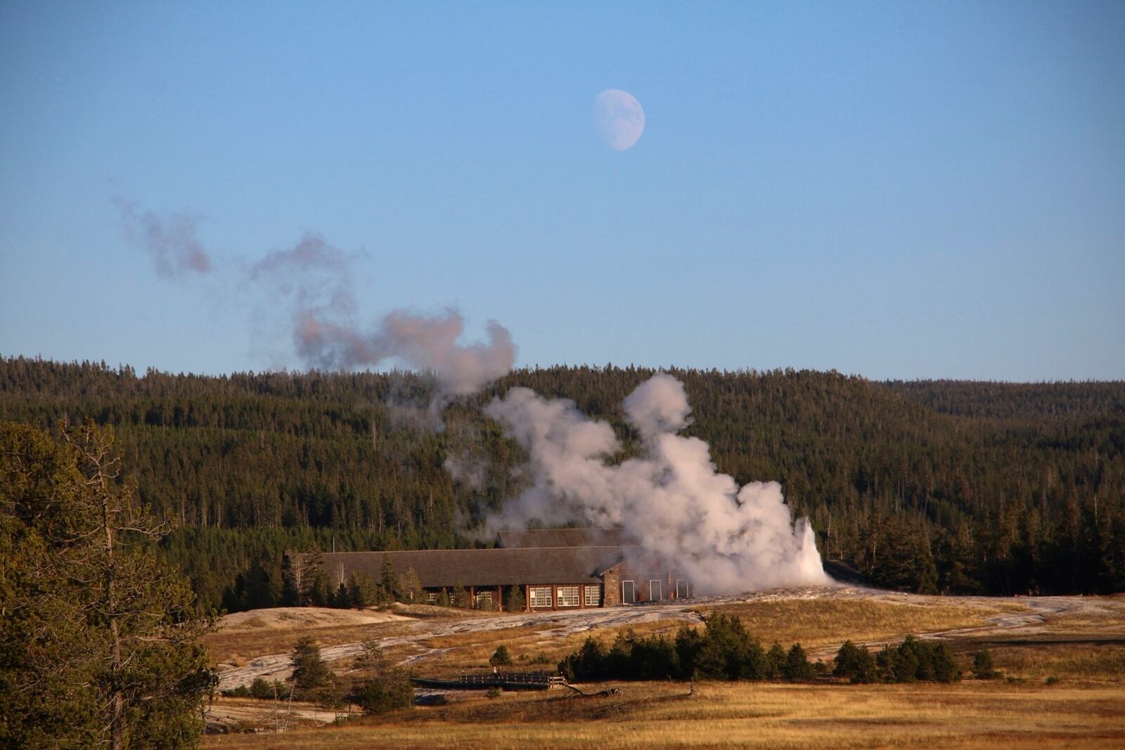 Old Faithful is seen erupting from a distance as the moon rises over the Upper Geyser Basin at Yellowstone National Park, Mont., Sept. 25, 2023. (AP Photo/Hannah Schoenbaum)