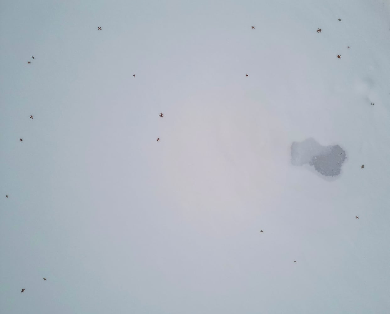 Day Two Snowstorm in Central Ohio