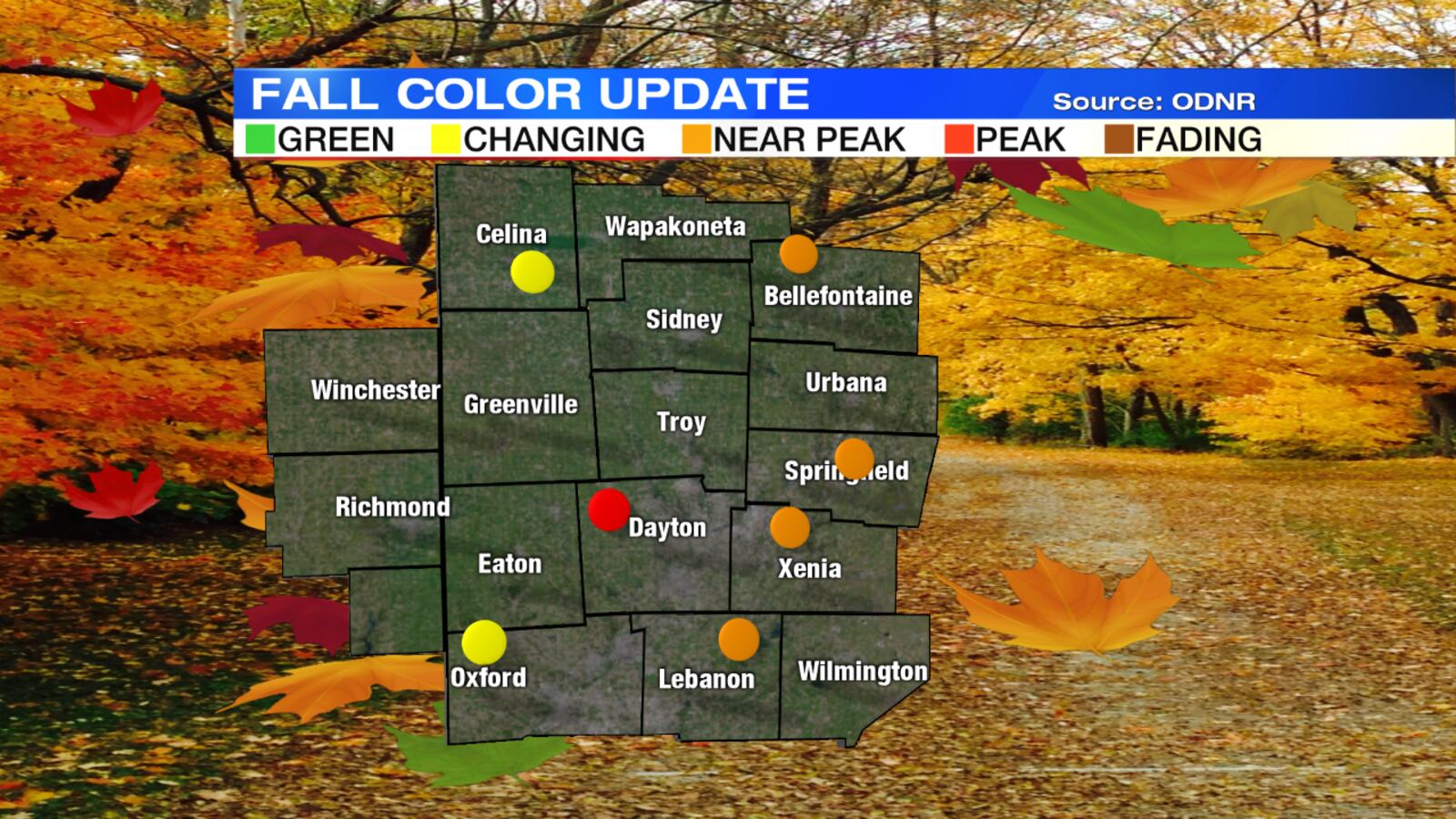 Fall Foliage