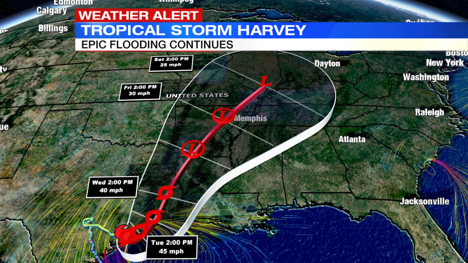 (Storm Center 7 Chief Meteorologist Eric Elwell)