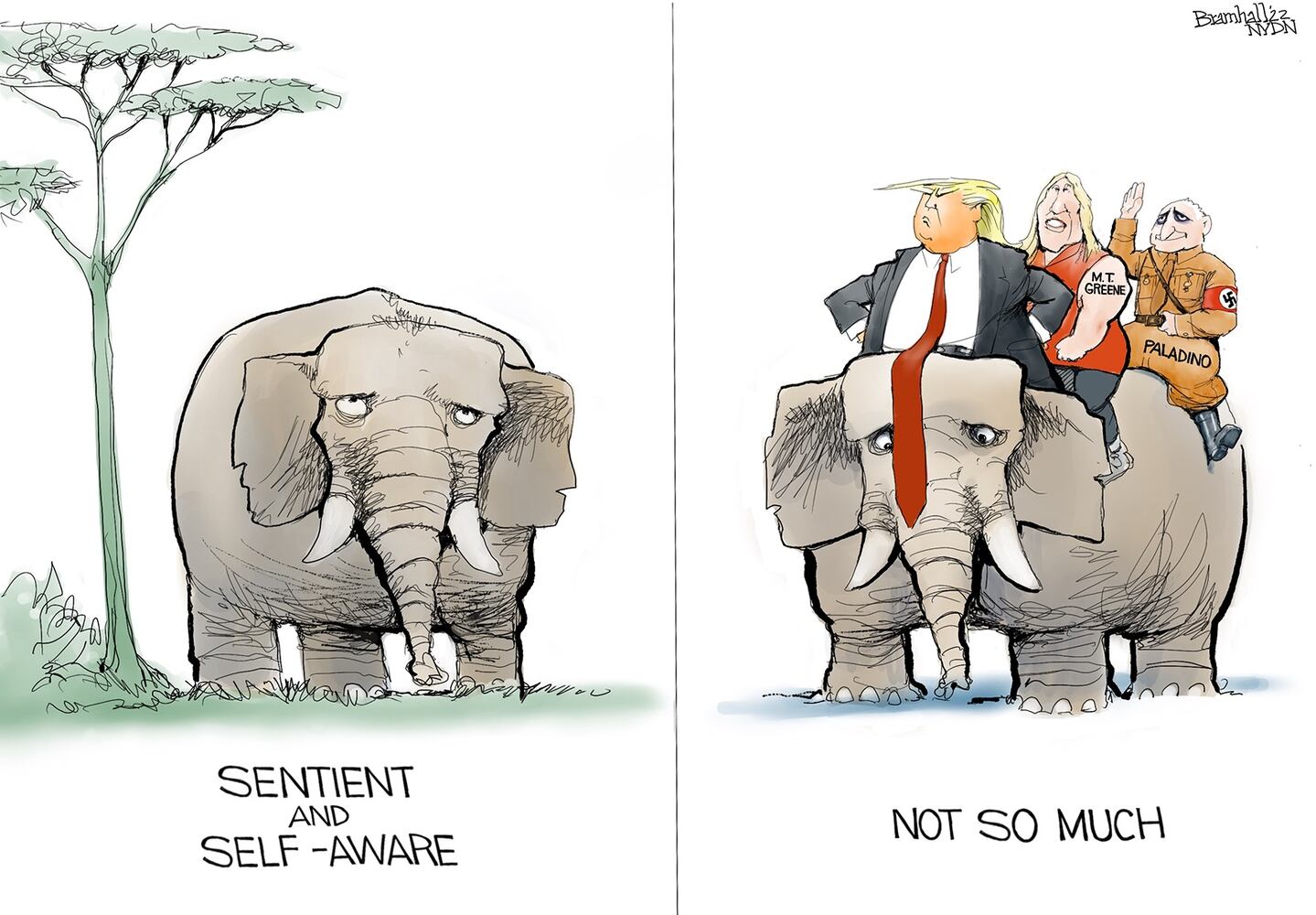 WEEK IN CARTOONS: Jan. 6 hearings, bear market and more