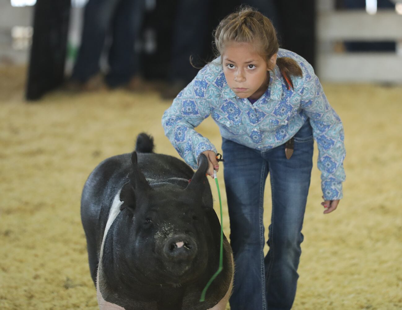 2018 Clark County Fair Opening Day