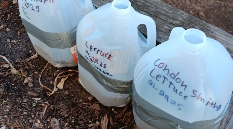 Winter sown vegetable varieties will start growing once the weather is conducive. AMY STONE/CONTRIBUTED