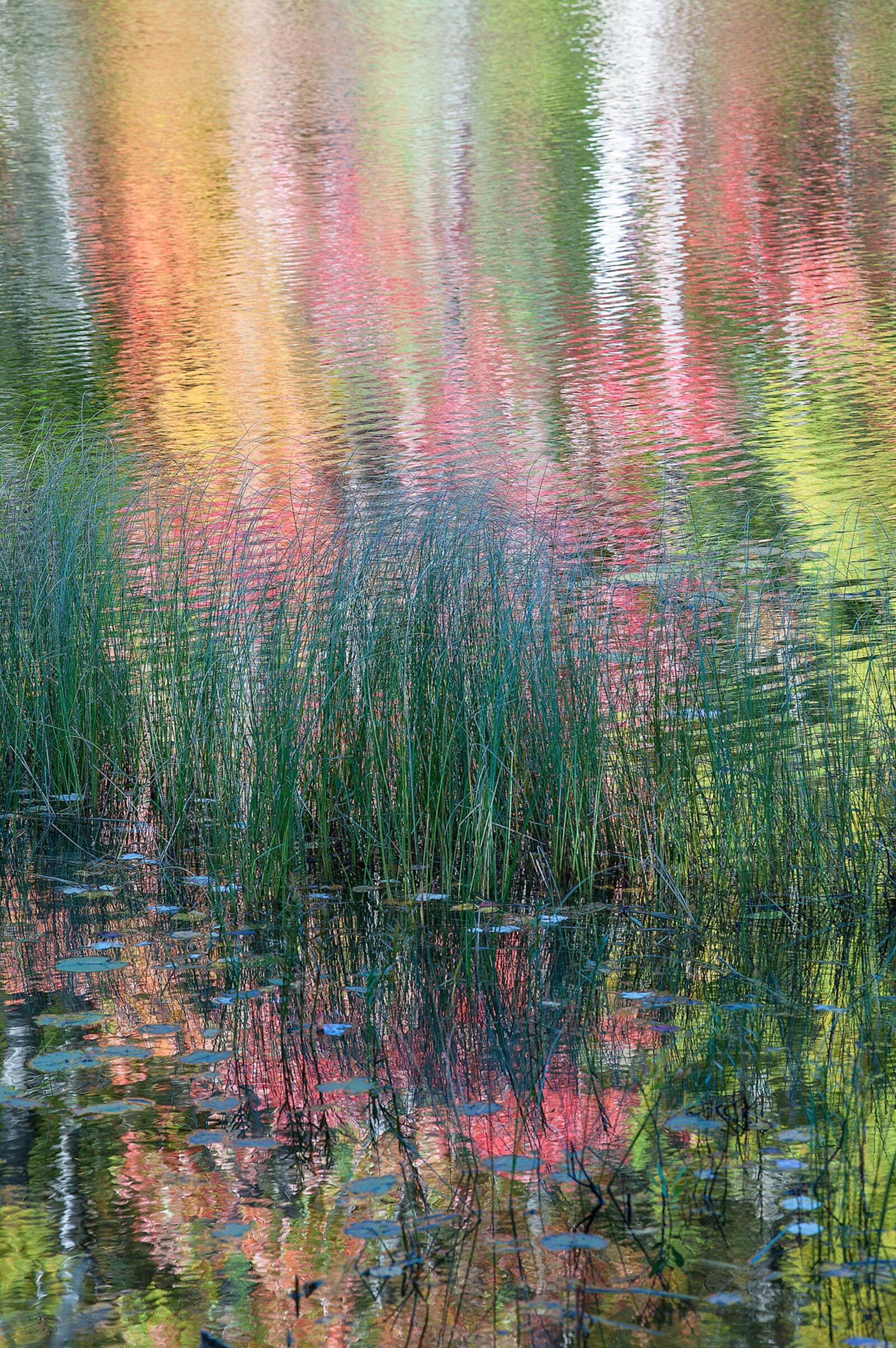 "Autumn Reflections," photography by Brother John Lemker