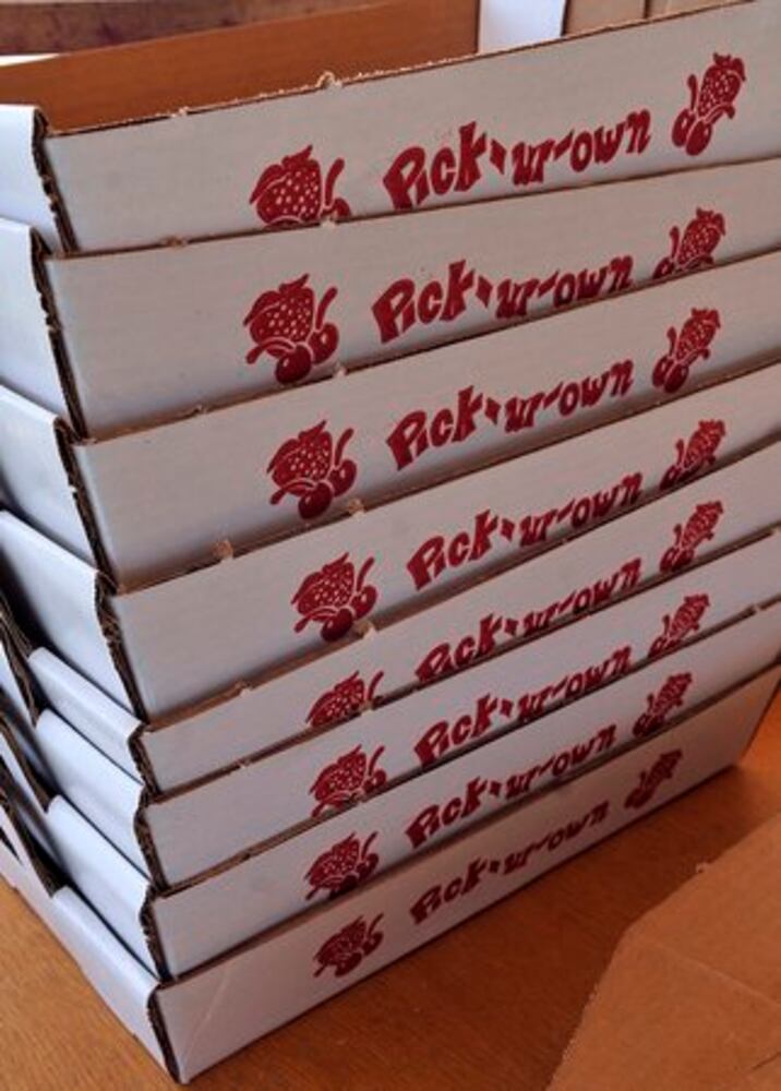 Berry Farm thrives in Champaign