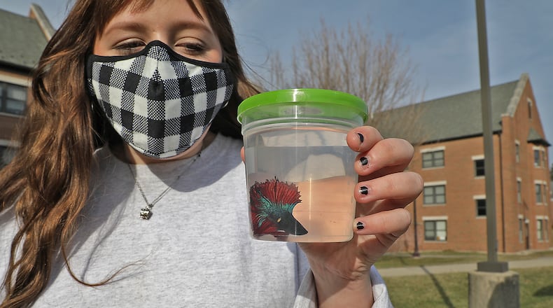 Olivia Washington, a sophomore at Wittenberg University, carries pet fish into dorm room as she moves back onto campus Thursday. BILL LACKEY/STAFF