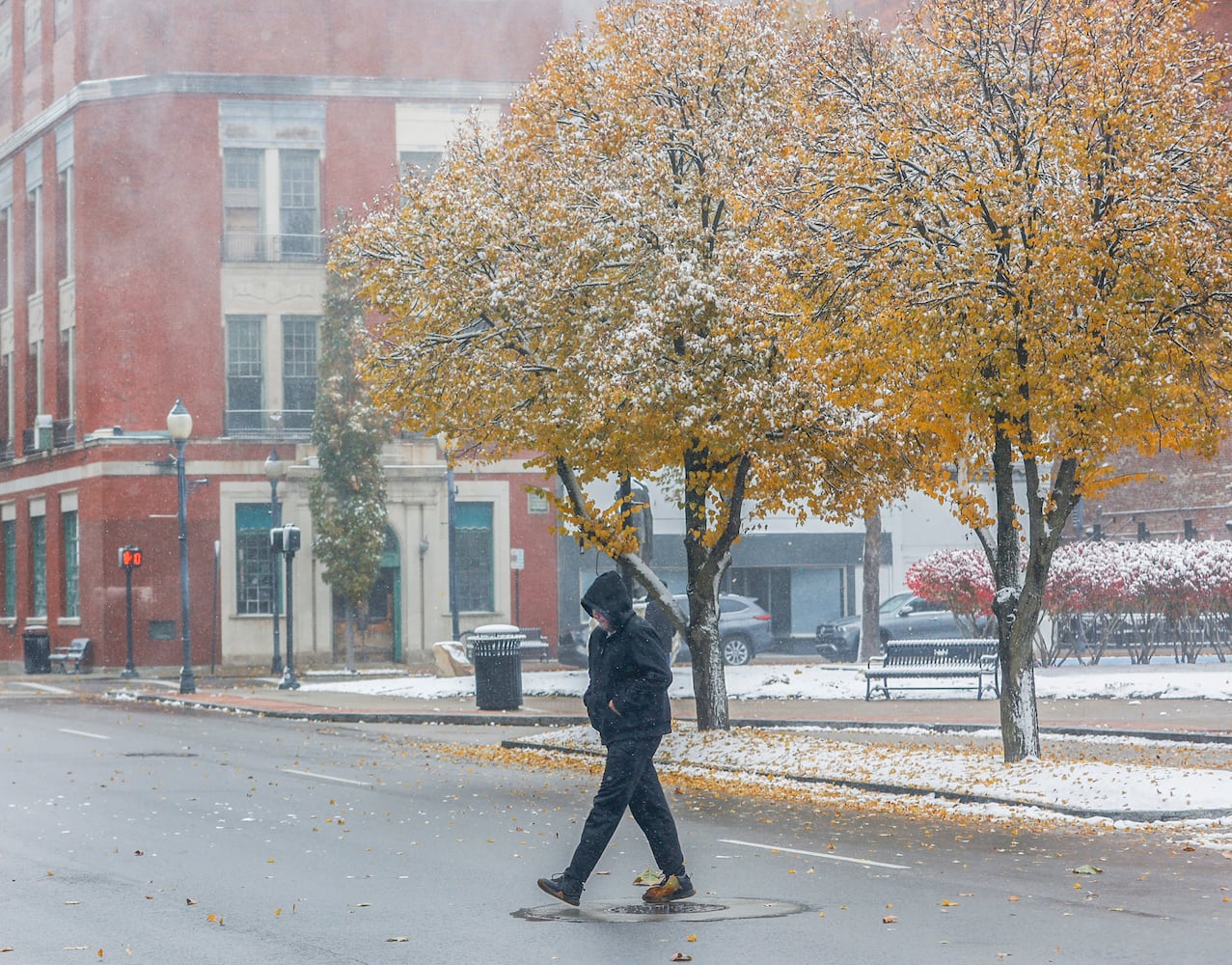 November 2025 Springfield Snow 