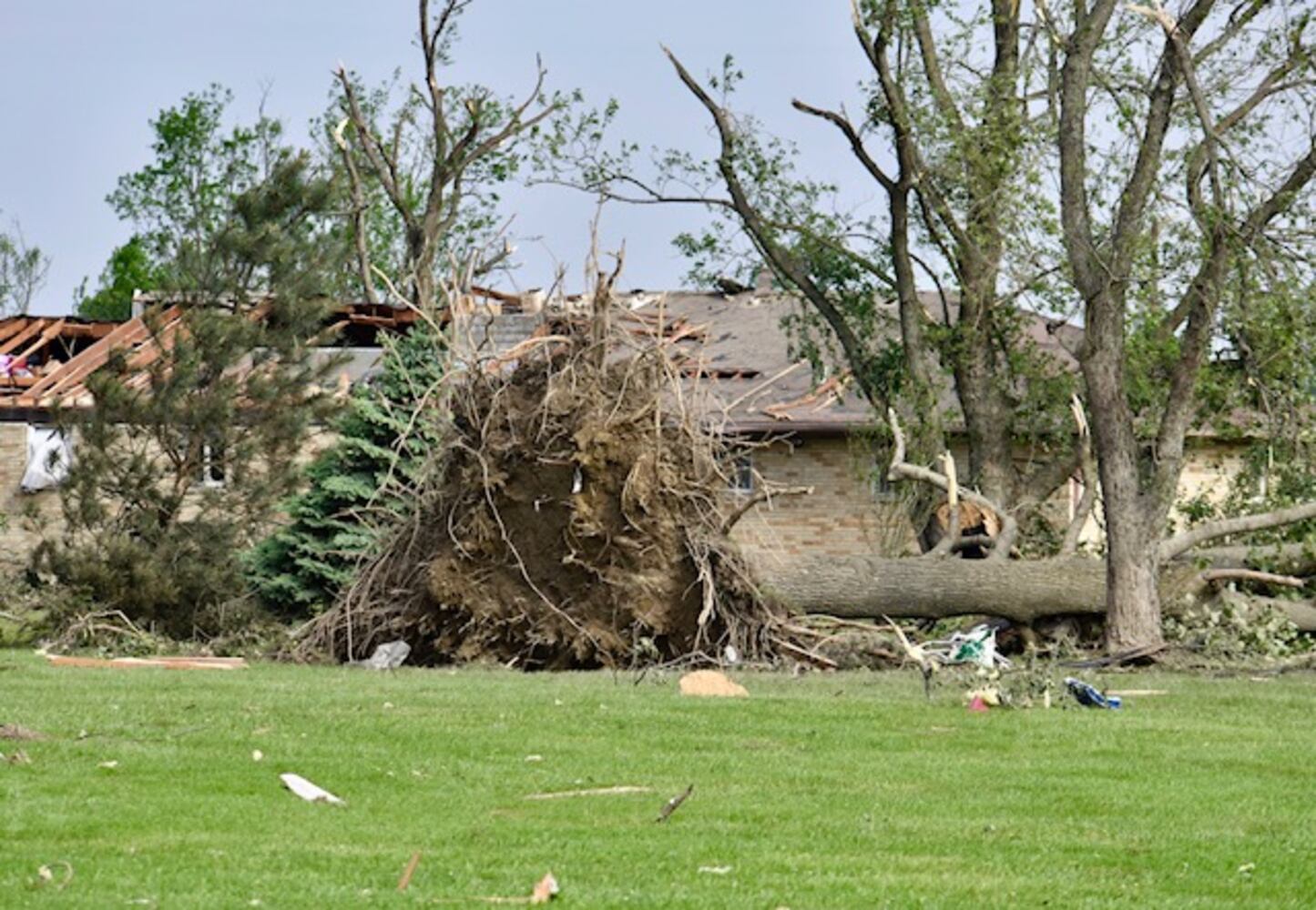 PHOTOS: Daylight reveals widespread damage from Monday storms