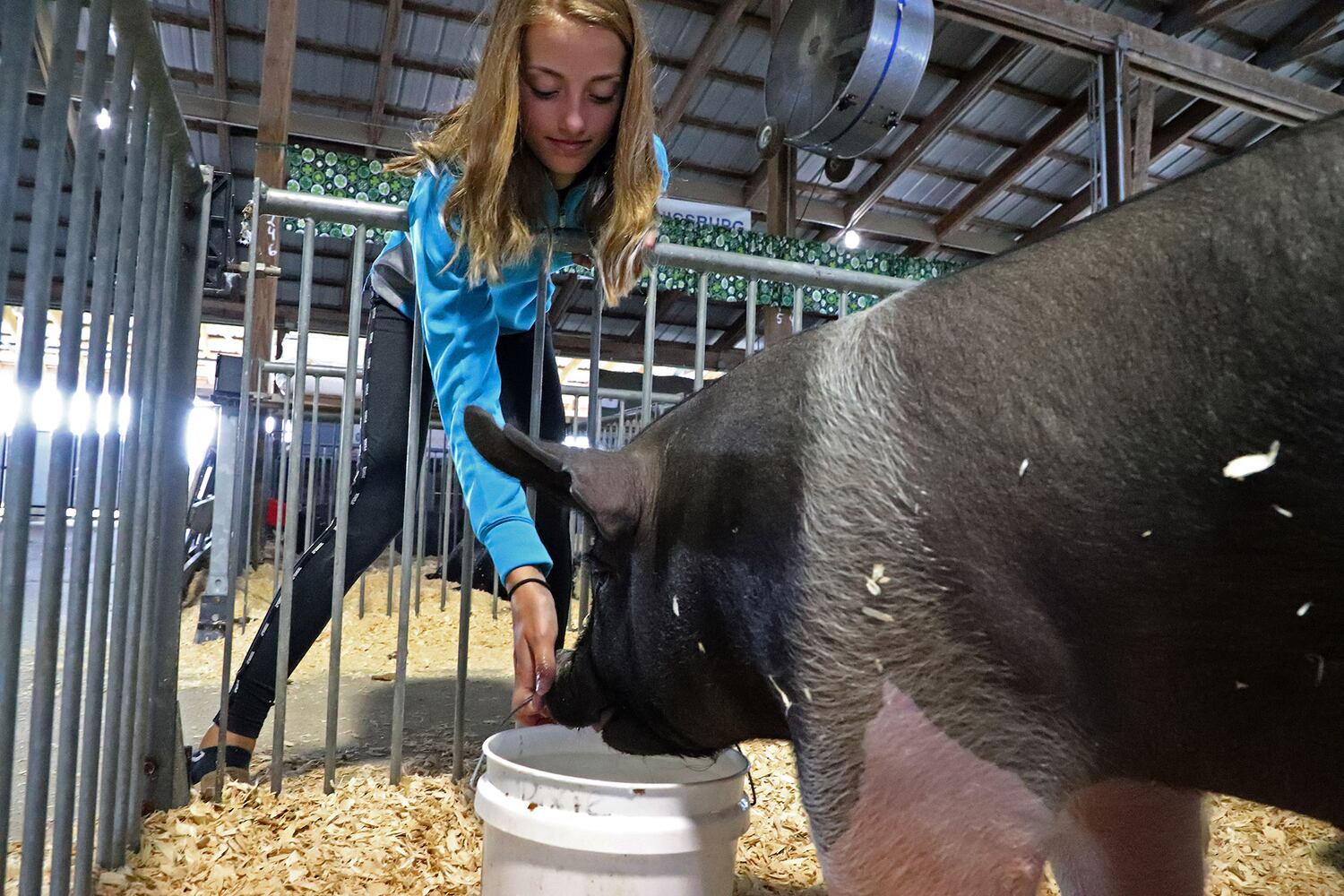 Champaign County Fair