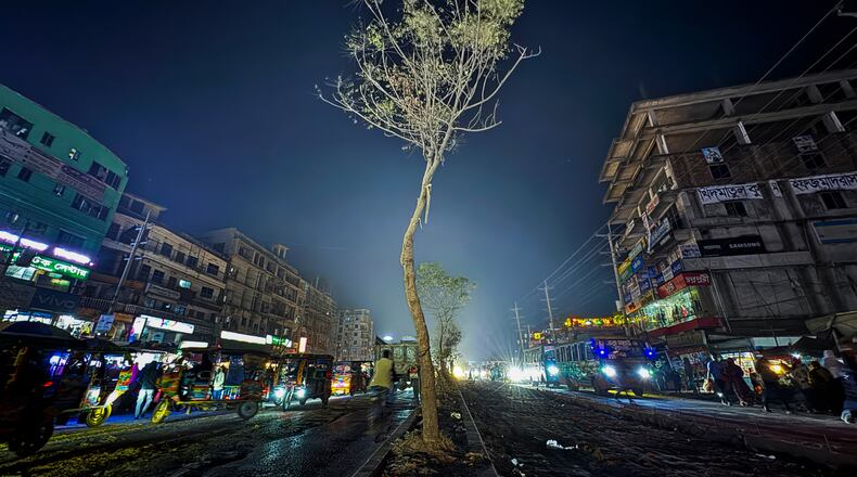 A tree stands on a road divider where the body of 27-year-old Hindu garment worker Dipu Chandra Das was hung and set on fire by a mob on Dec. 18, 2025, in Gazipur near Dhaka, Bangladesh, Jan. 9, 2026. (AP Photo/Mahmud Hossain Opu)