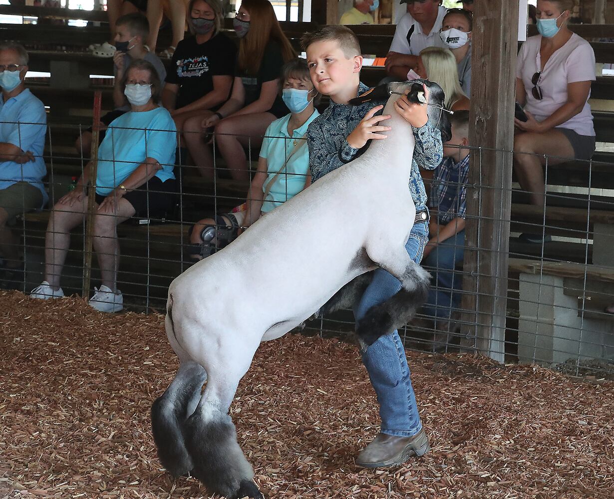 Clark County Fair