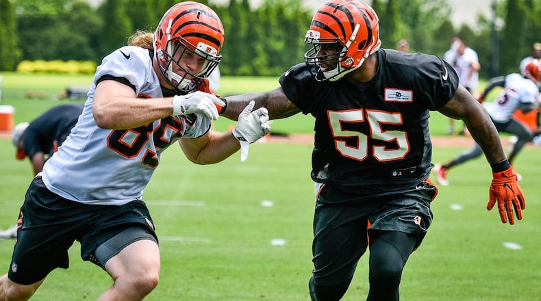 Bengals’ H-back Ryan Hewitt is defended by linebacker Vontaze Burfict (55) during organized team activities Tuesday, May 22 at the practice facility near Paul Brown Stadium in Cincinnati. NICK GRAHAM/STAFF