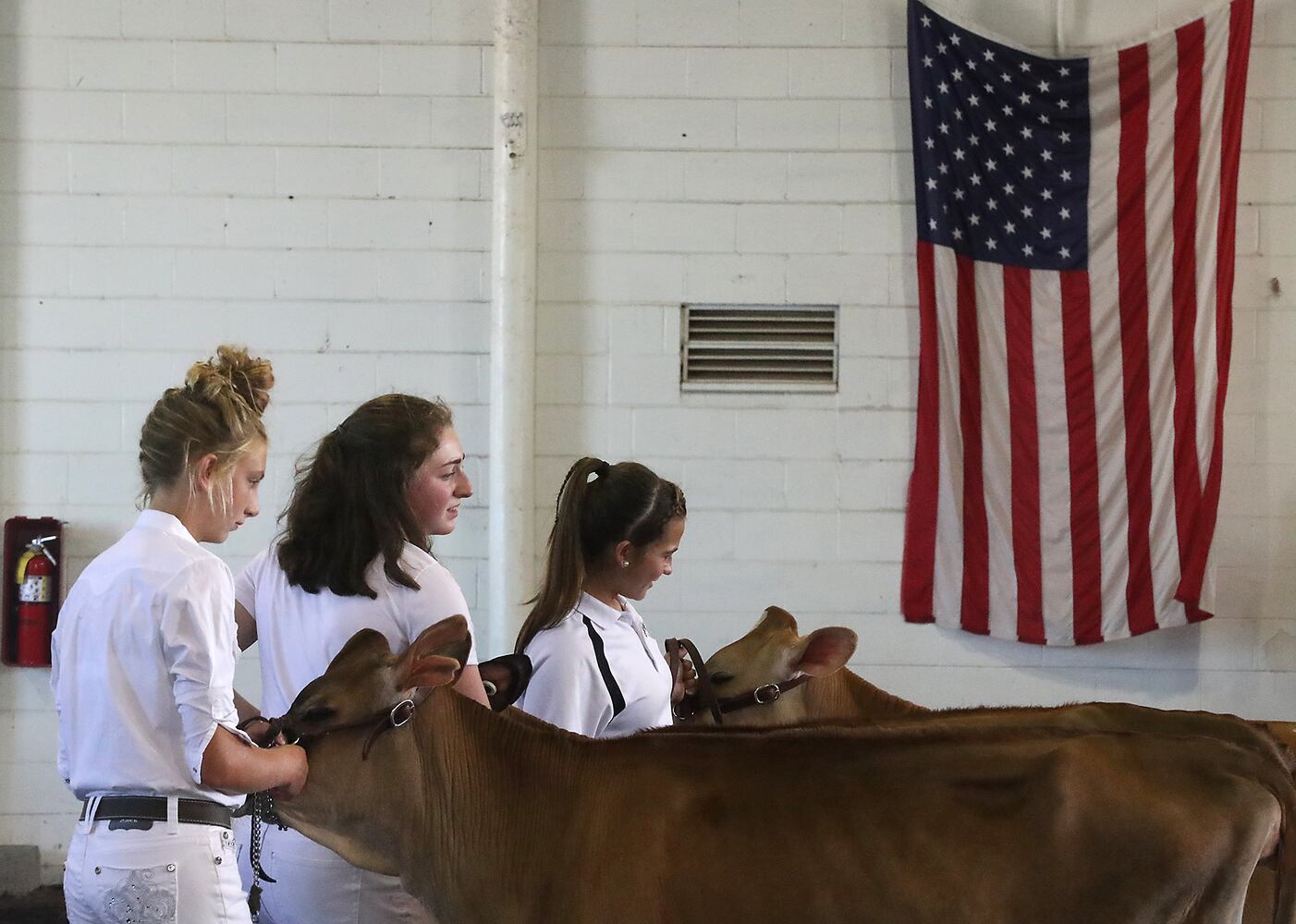 Clark County Fair