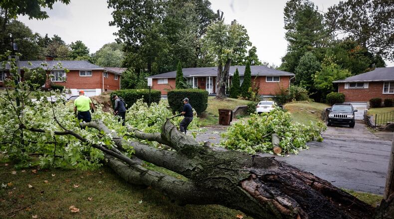 Harrison Twp. employees remove a Sugar Maple from Bennington Drive that fell from high winds.Jim Noelker/Staff