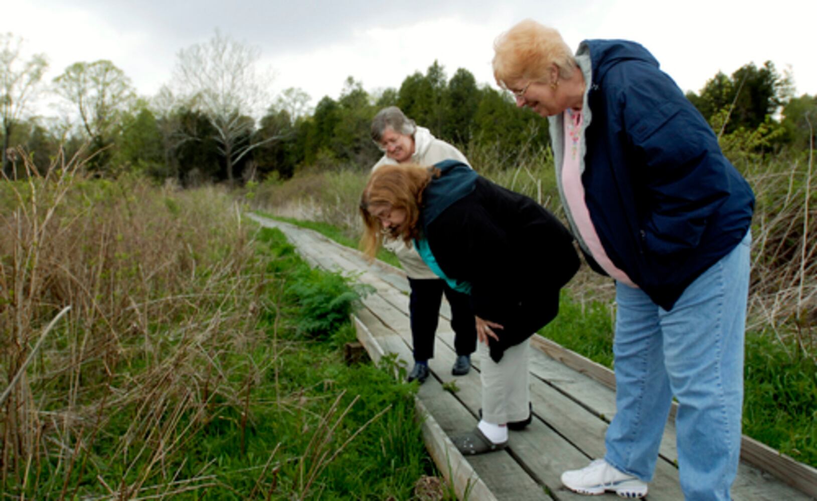 Cedar Bog