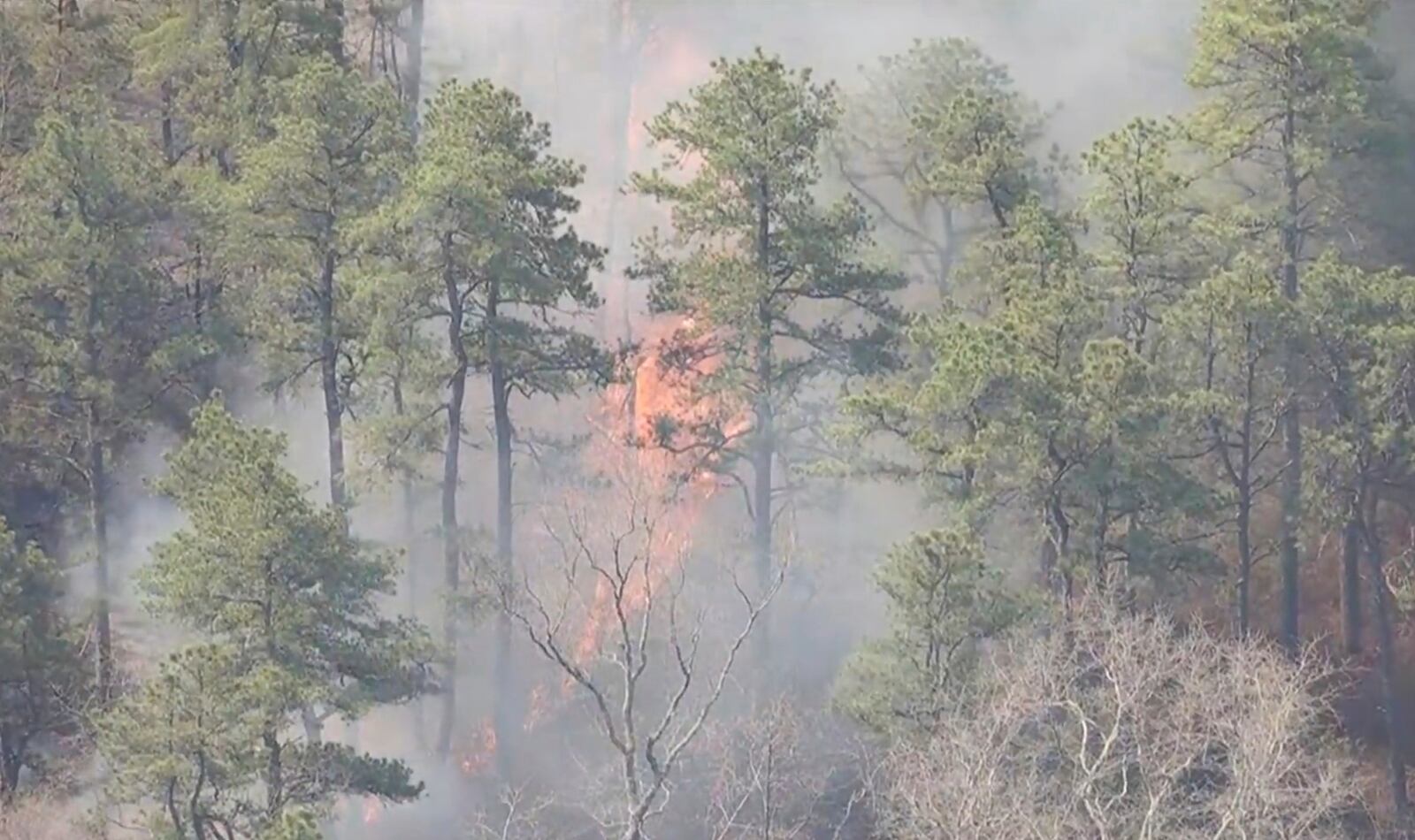 Smoke fills the air from a wildfire in Ocean County, N.J. on Thursday, April 24, 2025. (WPVI-TV via AP)