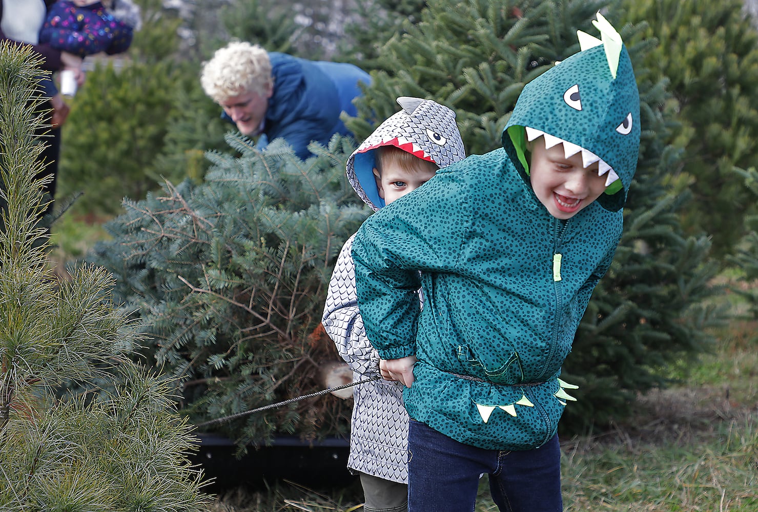 112720 Christmas Trees SNS