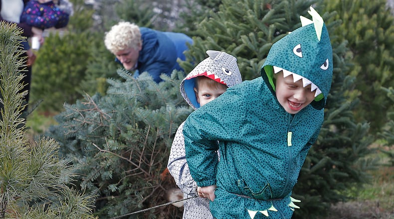 Owen Day and his brother Jamie work together to pull the Christmas tree his family just cut down at Carl & Dorothy Young's Christmas Tree Farm Friday. BILL LACKEY/STAFF