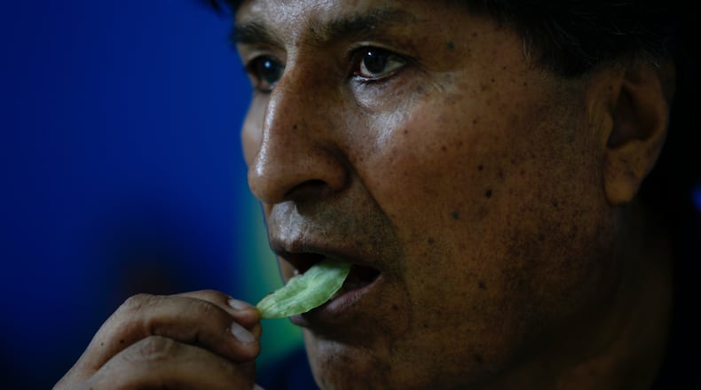FILE - Bolivia's former President Evo Morales chews coca in Lauca N, Chapare region, Bolivia, Nov. 3, 2024, amid an ongoing political conflict with the government of President Luis Arce. (AP Photo/Juan Karita, File)