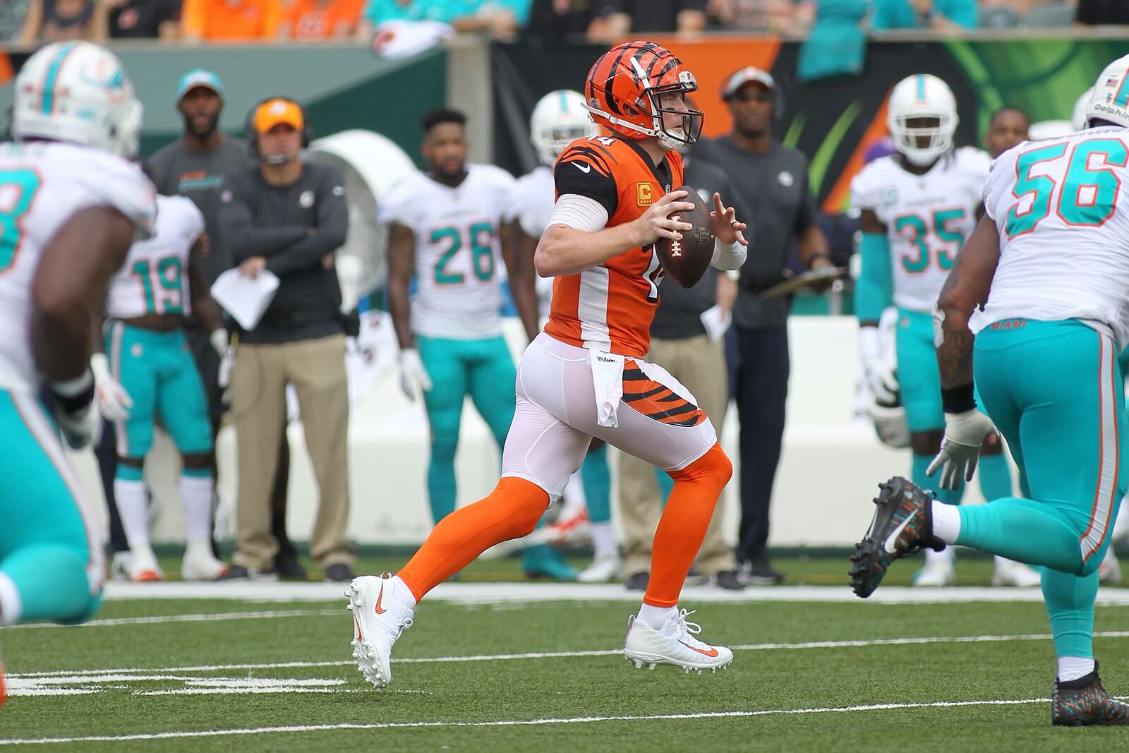 CINCINNATI, OH - OCTOBER 7:  Andy Dalton #14 of the Cincinnati Bengals runs with the ball during the first quarter of the game against the Miami Dolphins at Paul Brown Stadium on October 7, 2018 in Cincinnati, Ohio. (Photo by John Grieshop/Getty Images)