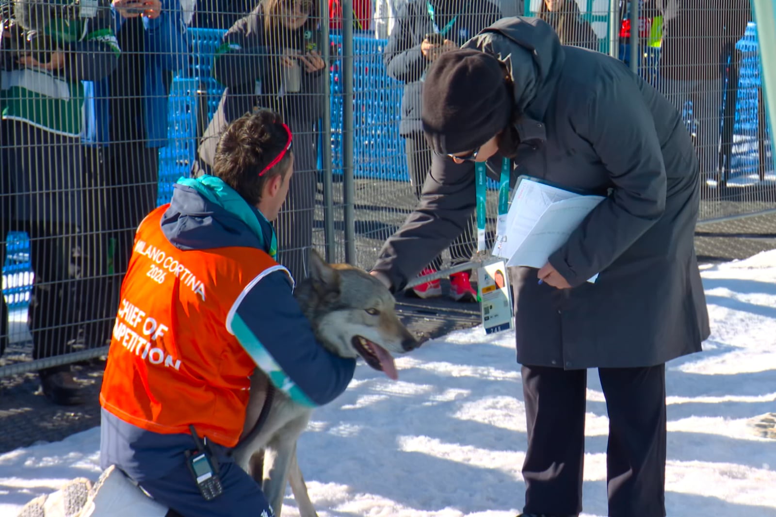 In this image taken from video provided by Olympic Broadcasting Services, OBS, an official holds a dog after it ran onto the track near the finish during the heats of the cross-country skiing women's team sprint free at the 2026 Winter Olympics, in Tesero, Italy, Wednesday, Feb. 18, 2026. (Olympic Broadcasting Services via AP)