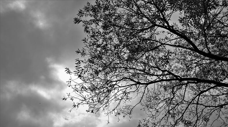 Cold and windy Tuesday