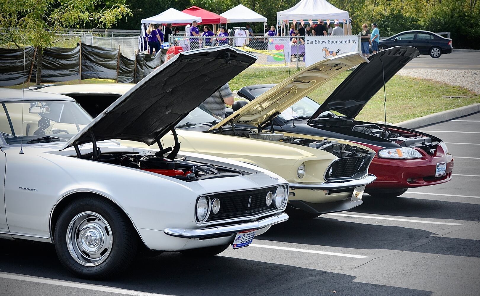 PHOTOS: Springfield Community Fest held at Texas Roadhouse