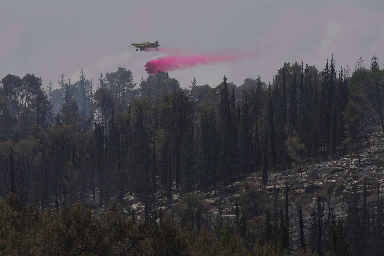 An Israeli aircraft drops fire retardant on a wildfire in Latrun, Israel, outside of Jerusalem, Thursday, May 1, 2025. (AP Photo/Ohad Zwigenberg)