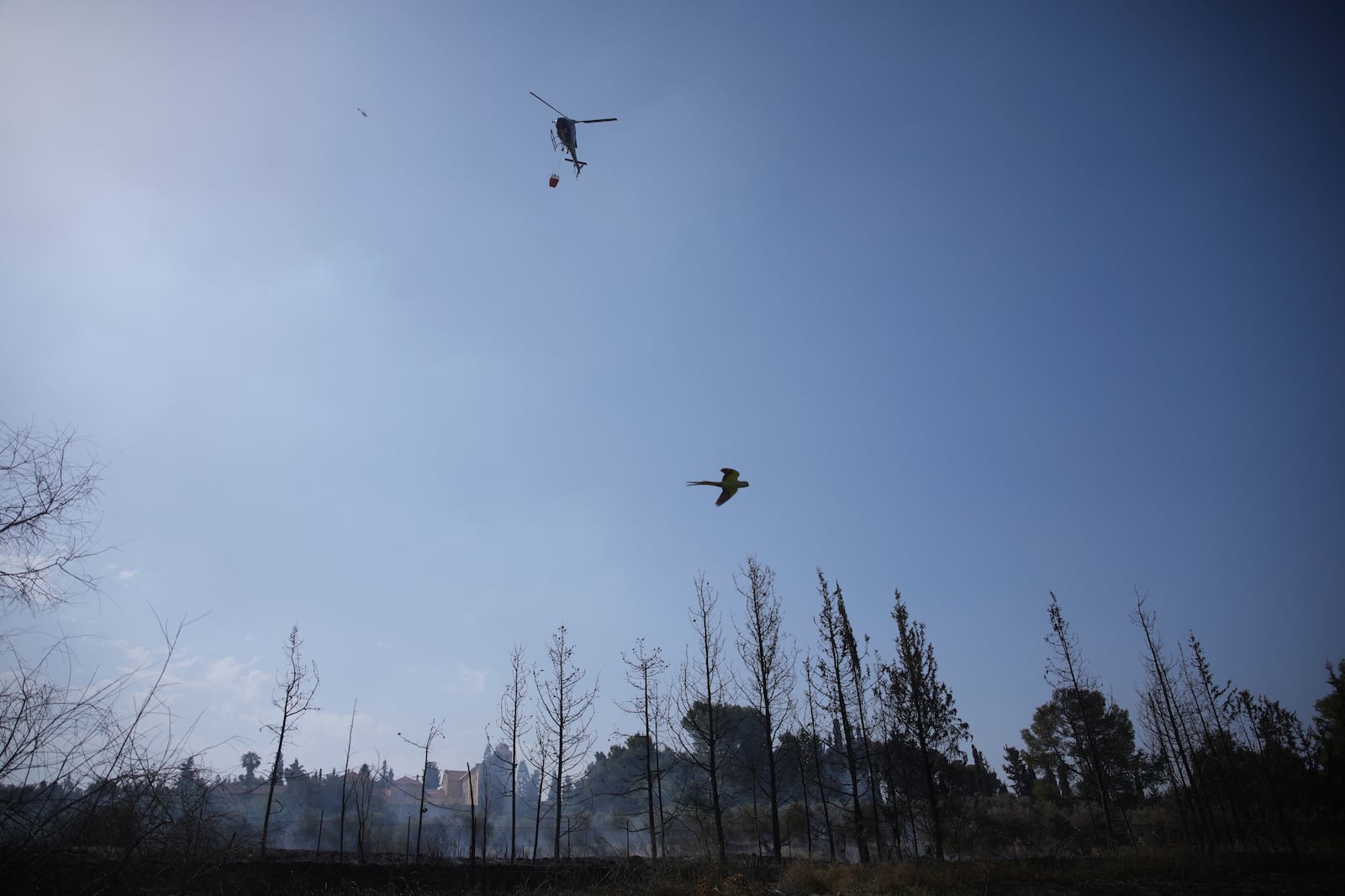 An Israeli fire crew helicopter battles a wildfire in Latrun, Israel, outside of Jerusalem, Thursday, May 1, 2025. (AP Photo/Ohad Zwigenberg)