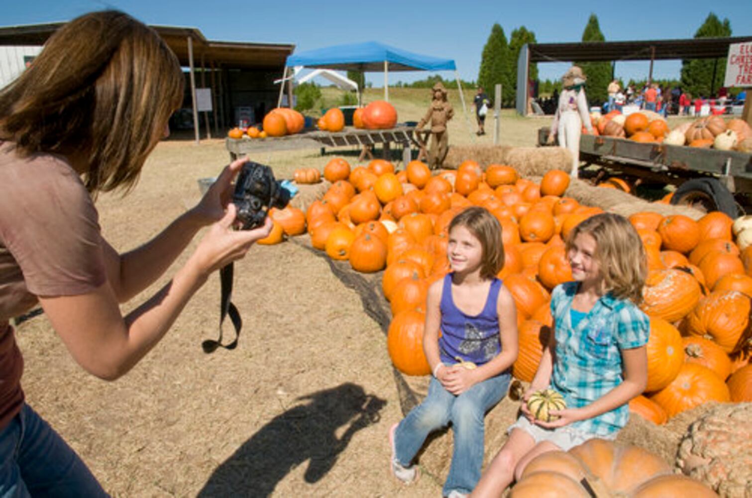 Elgin pumpkin patch, 10.23.10