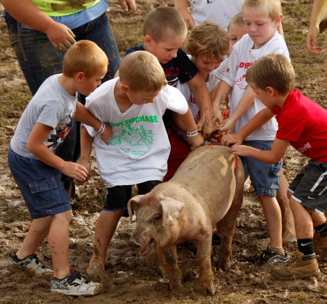 Clark County Fair - Kiddie Pig Chase
