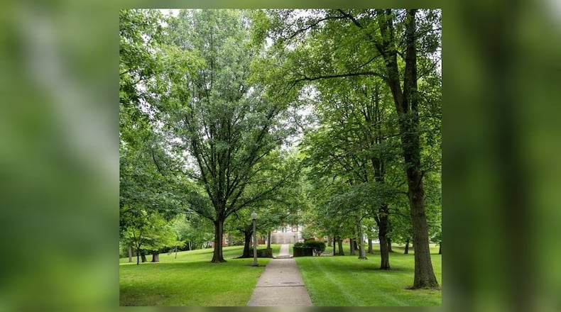 Wittenberg’s collection of trees has achieved official Level 1 ArbNet Accreditation, which denotes the university as an official arboretum. Contributed