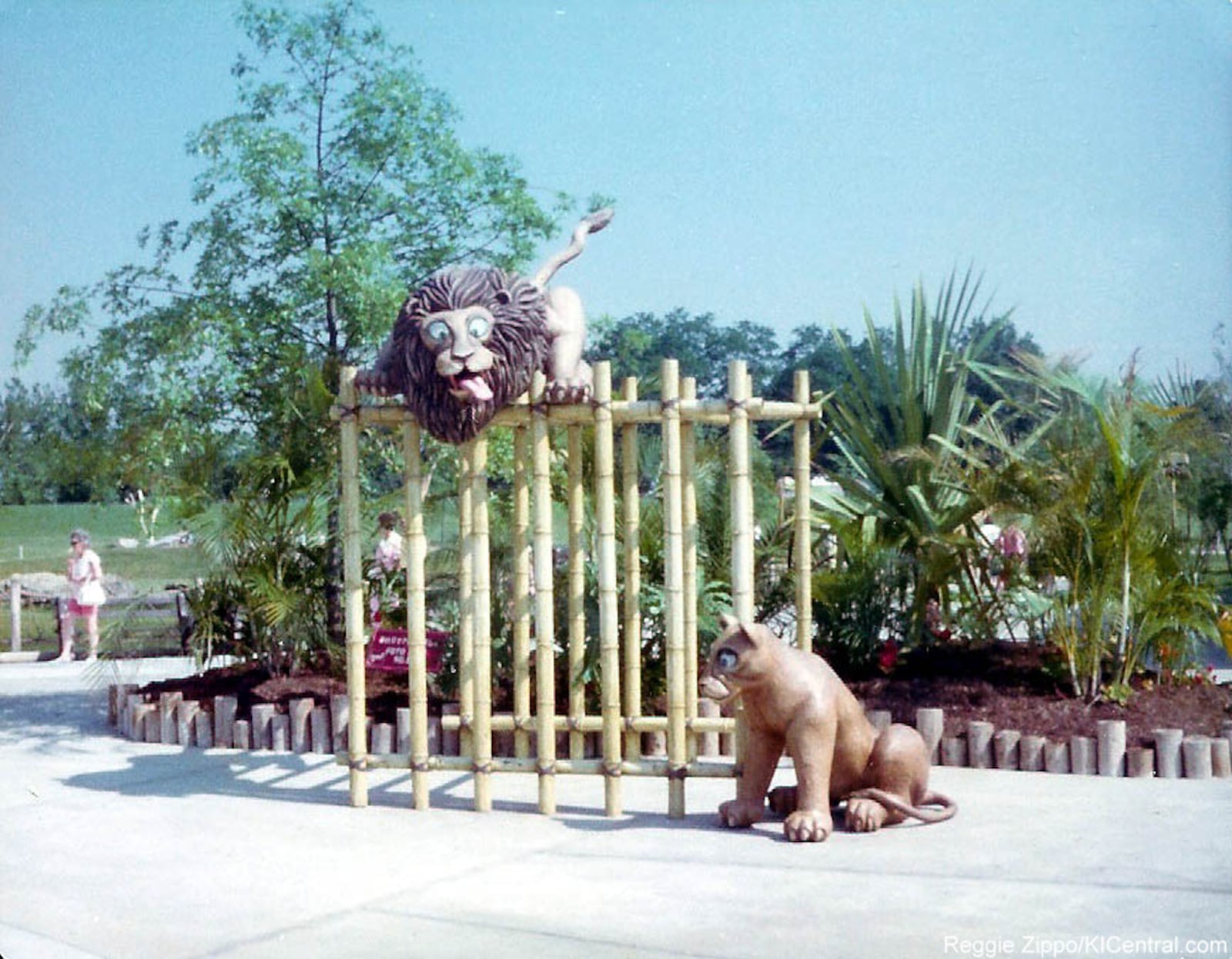 Kings Island's Lion Country Safari would take guests on a monorail trek through various habitats filled with lions, zebras, giraffes and more. Photo taken by Reggie Zippo and submitted by Ki Central