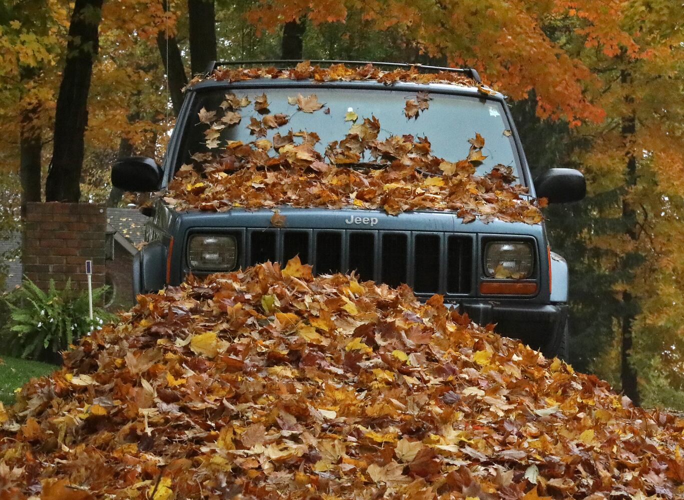 Clark County Fall Colors