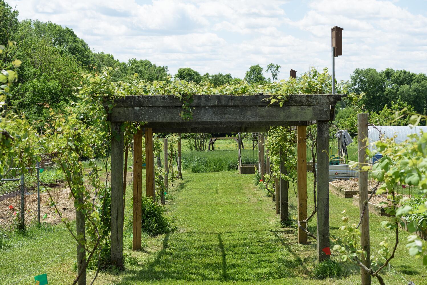 PHOTOS: Wooly Wonders - Spring on the Farm Family Event at Learning Tree Farm