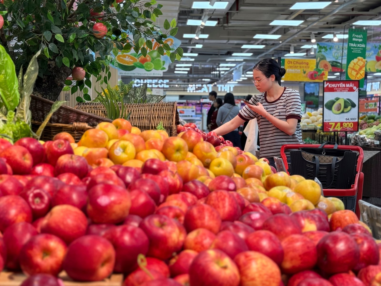 FILE - A shopper picks up imported apples at a supermarket in Hanoi, Vietnam on Thursday, April 10, 2025. (AP Photo/Hau Dinh, File)