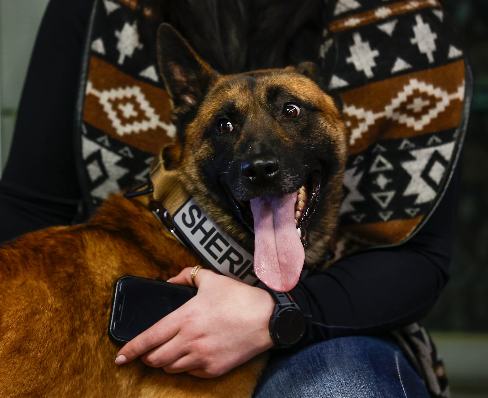 Explosive Ordnance Disposal (EOD) K9 "Pyro" prepares to get sworn into the Clark County Sheriff's Office on Monday, March 16, 2026, in Springfield. JOSEPH COOKE/STAFF