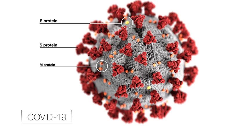This illustration, created at the Centers for Disease Control and Prevention (CDC), reveals ultrastructural morphology exhibited by coronaviruses. Note the spikes that adorn the outer surface of the virus, which impart the look of a corona surrounding the virion, when viewed electron microscopically. In this view, the protein particles E, S, and M, also located on the outer surface of the particle, have all been labeled as well. A novel coronavirus, named Severe Acute Respiratory Syndrome coronavirus 2 (SARS-CoV-2), was identified as the cause of an outbreak of respiratory illness first detected in Wuhan, China in 2019. The illness caused by this virus has been named coronavirus disease 2019 (COVID-19).